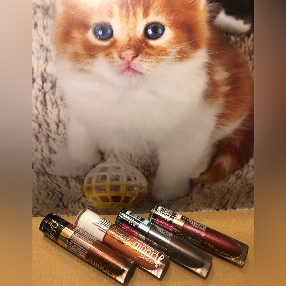 Wet n Wild Megalast Liquid Catsuit Limited Edition collection x4 collection NWT